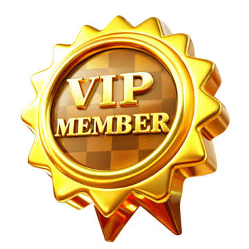 VIP Plan
